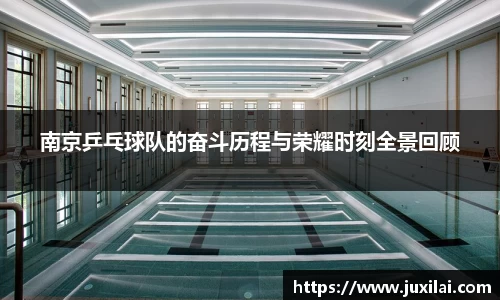 南京乒乓球队的奋斗历程与荣耀时刻全景回顾